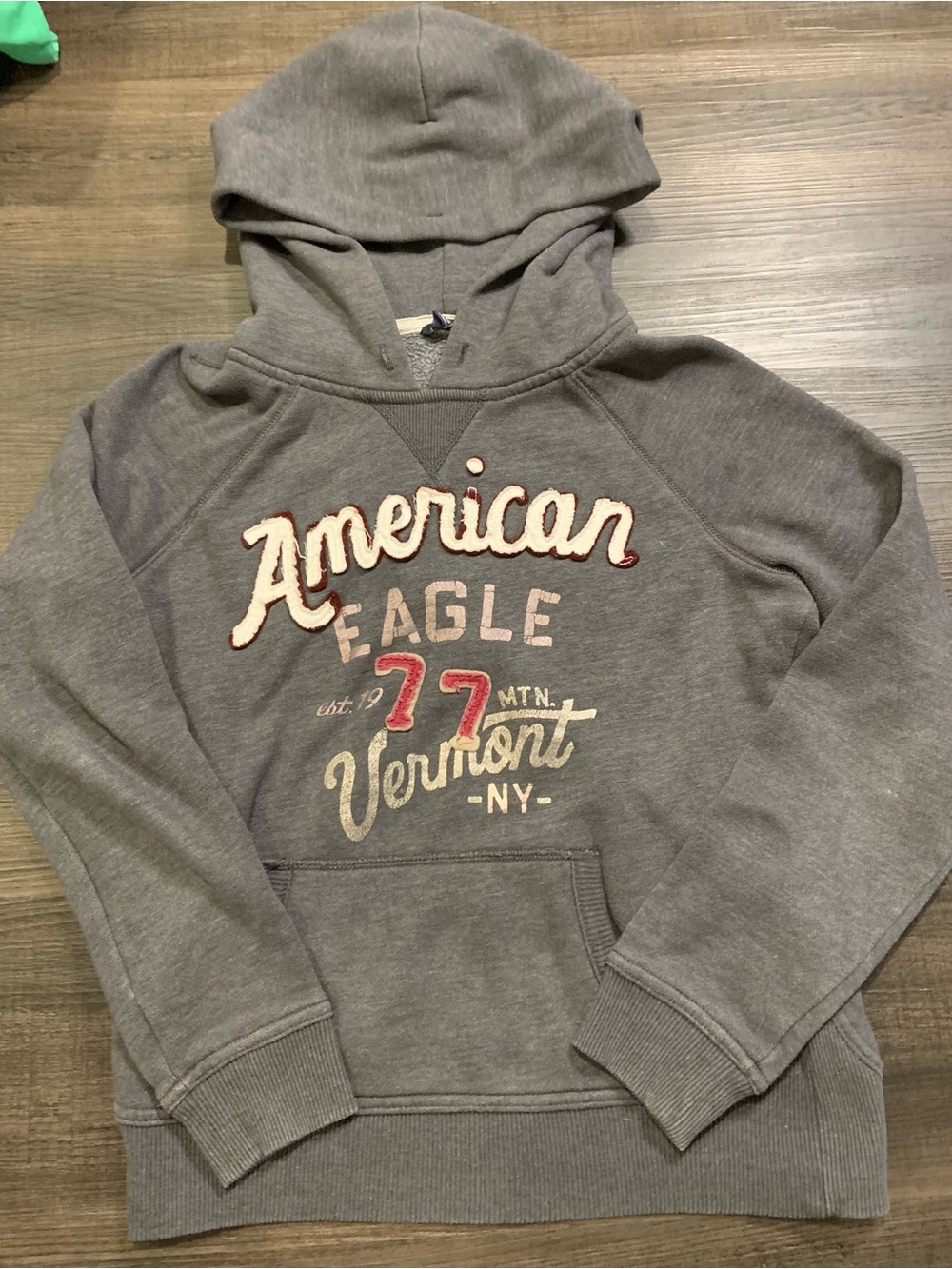American Eagle Outfitters Gray Hoodie with Navy Tag